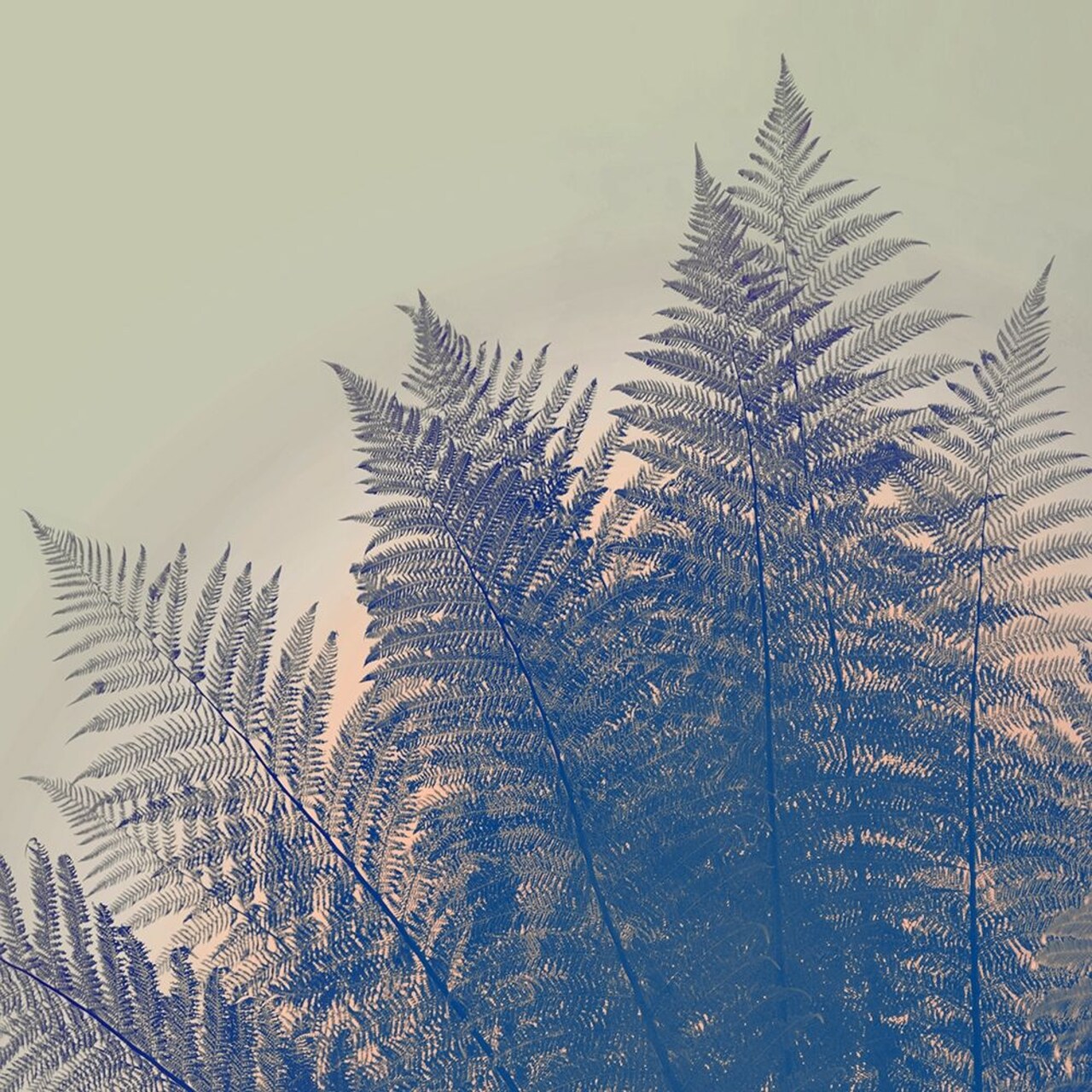 Orange Sky Poster Print by Daniela Savone - Item # VARPDXDT057A